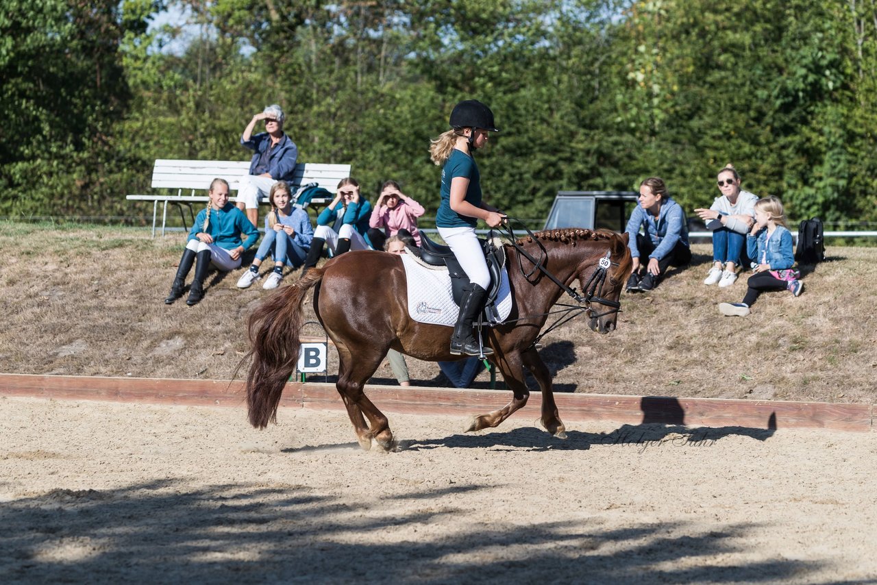 Bild 56 - Pony Akademie Turnier